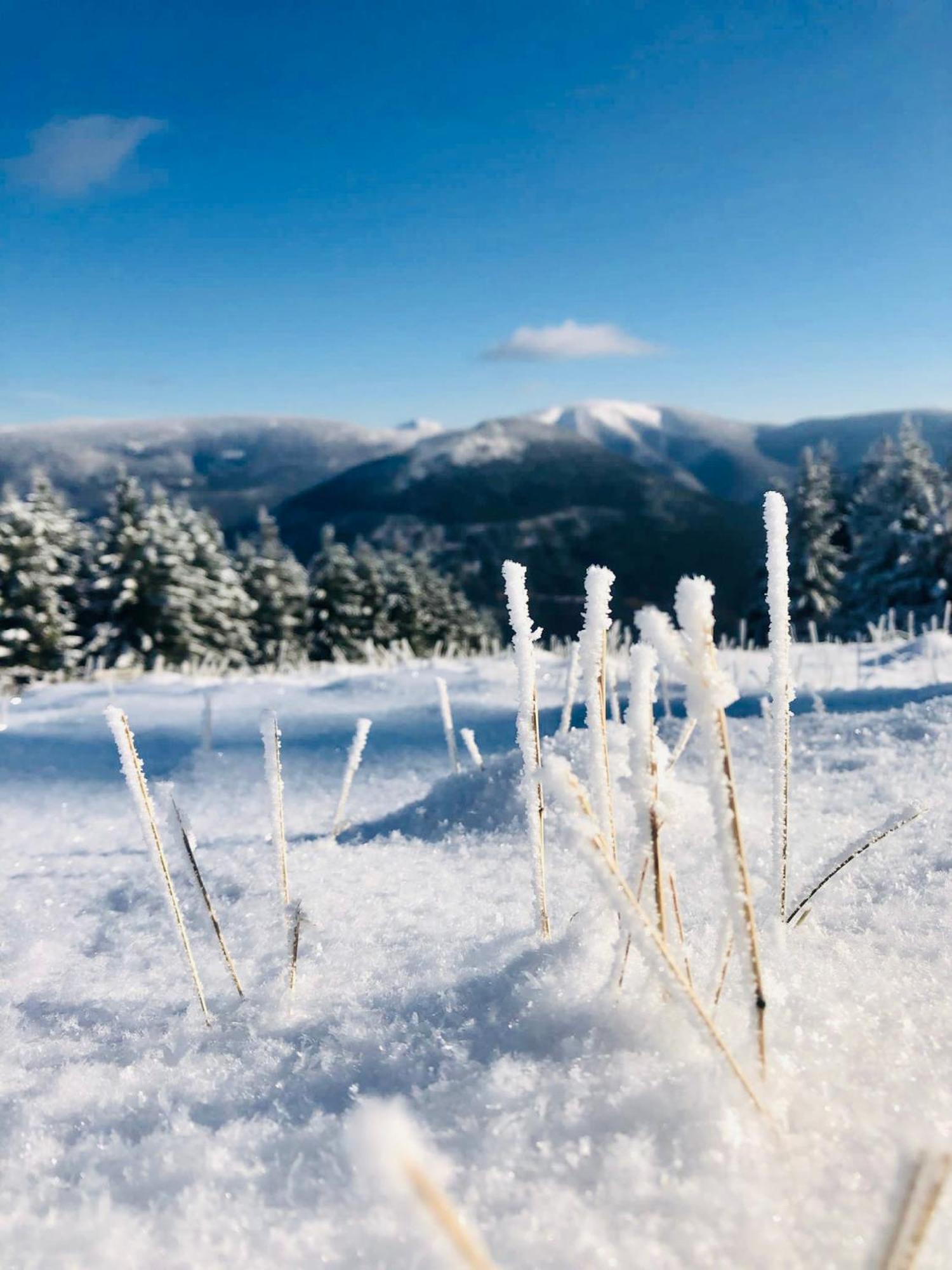 Špindlerŭv MlýnPanorama 19公寓 外观 照片